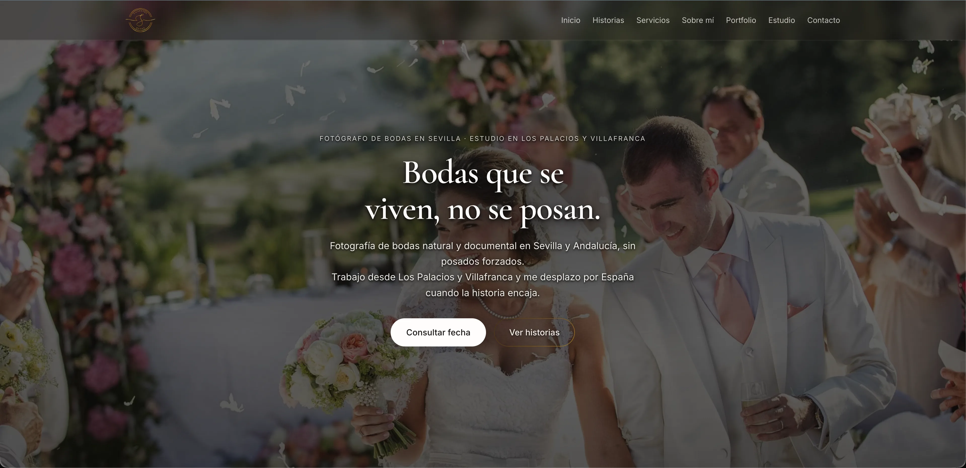 Silvestre Bodas — web publicada